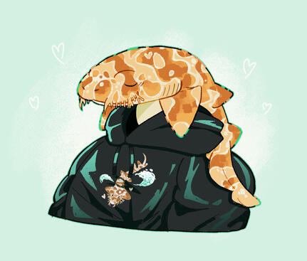 Illustration